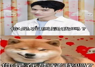 为什么职业电竞女选手那么少 女生想打职业真的就这么难吗(图4)