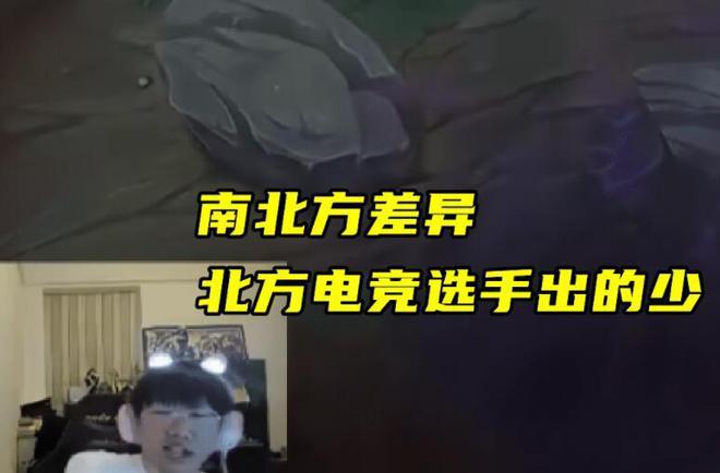 宁王点评LPL职业选手直言南方职业选手多北方出的电竞人才少(图4)