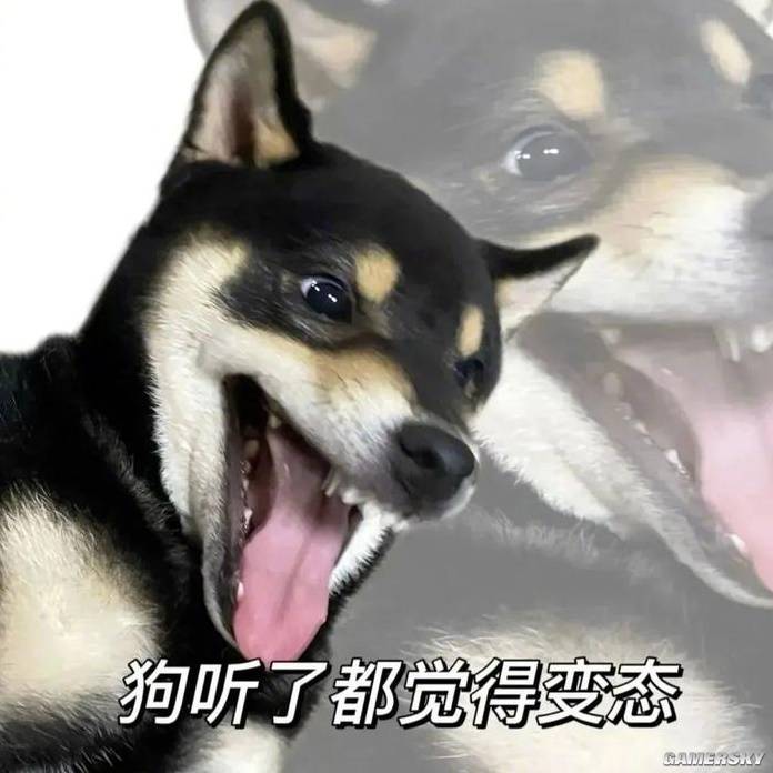 为了参加女子电竞比赛这帮男变态硬说自己是女的？(图5)