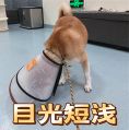一小时 1500 元！现在的游戏陪玩这么挣钱吗？(图2)