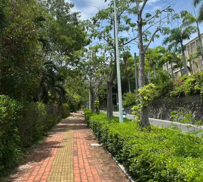 27岁女游客三亚被蛇咬身亡专家急吼：秒拍蛇照是救命关键(图4)