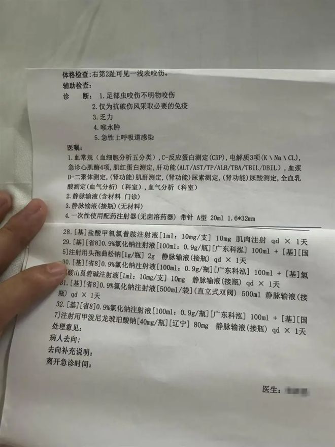 27岁女游客三亚被蛇咬身亡专家急吼：秒拍蛇照是救命关键(图3)