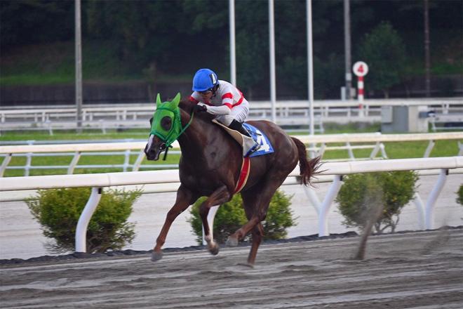 2019年那个要当电竞选手、梦想赚大钱的日本小学生如今怎么样了？(图5)