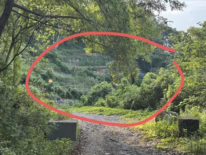 探访52岁女子误触氢氟酸致身亡事发地丈夫：已在老家给妻子办丧事