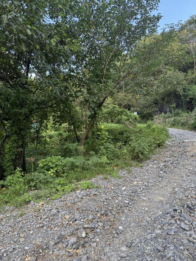 探访52岁女子误触氢氟酸致身亡事发地丈夫：已在老家给妻子办丧事(图6)