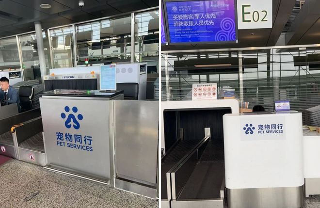 从客舱到酒店、景区“人宠服务”如何扎根中国旅游市场？