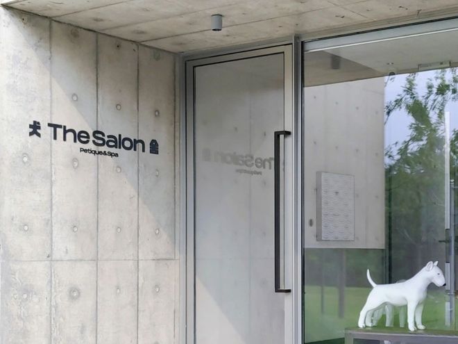 从客舱到酒店、景区“人宠服务”如何扎根中国旅游市场？(图9)