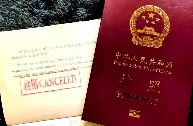 国籍严查打响第一枪！华人被拦机场“双面人”中国坚决不要！(图18)