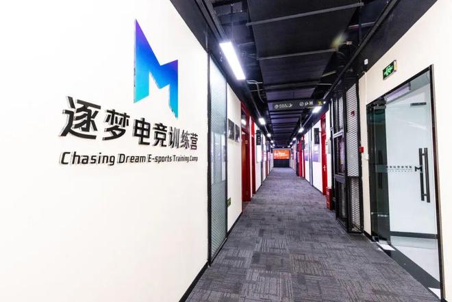 逐梦电竞：促进电竞人才体育化、职业化、专业化培养切实助力产业发展(图2)