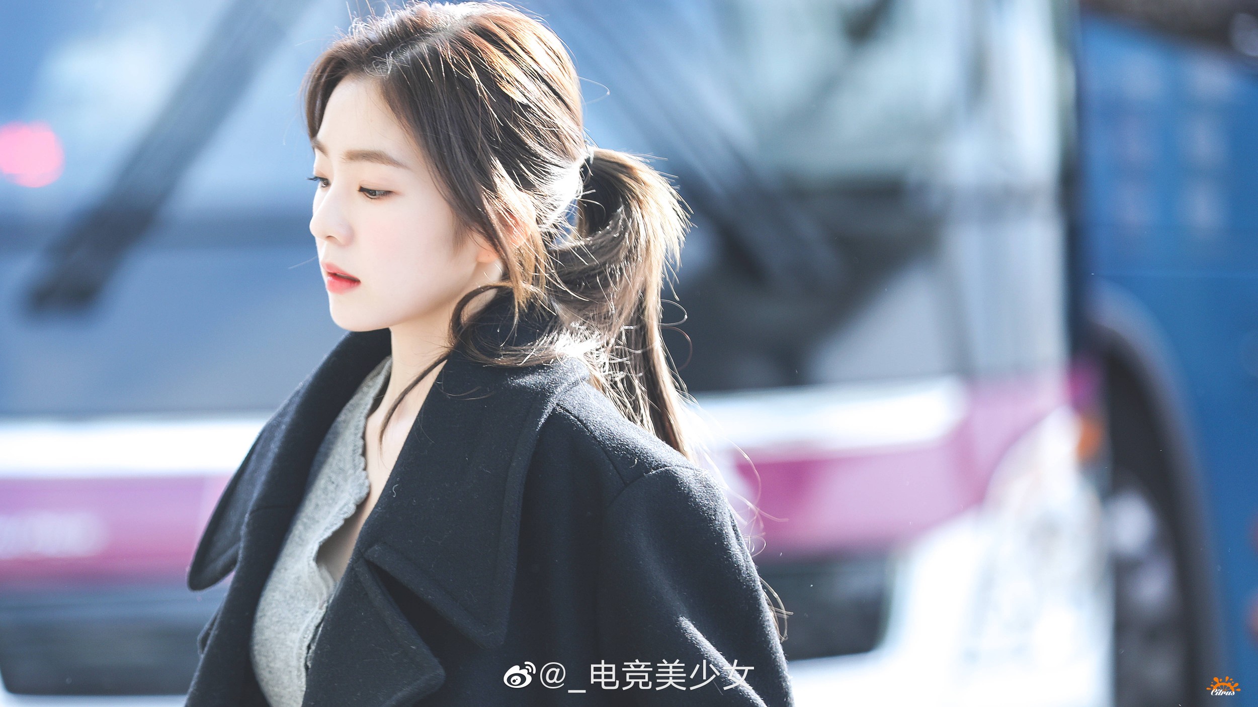 优质头像动漫女头(图1)